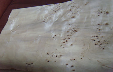 Álamo de madeira do folheado da mobília natural do Burl com AA/A/categoria do AB