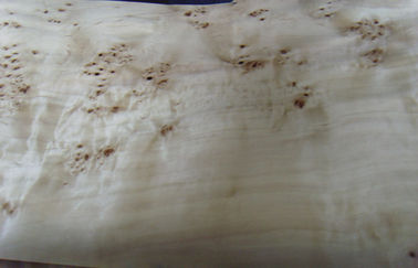 Corte cortado de Burled folheado de madeira liso, folheado estrutural do Burl da cinza