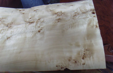 Álamo de madeira do folheado da mobília natural do Burl com AA/A/categoria do AB