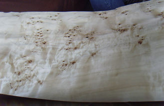 Corte cortado de Burled folheado de madeira liso, folheado estrutural do Burl da cinza