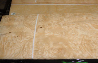 Folheado de madeira do Burl amarelo da cinza para a mobília, 0,5 milímetros de espessura