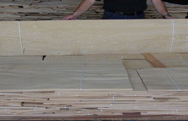 A fatia de madeira do folheado da cinza natural branca cortou a espessura de 0.5mm para o revestimento interior