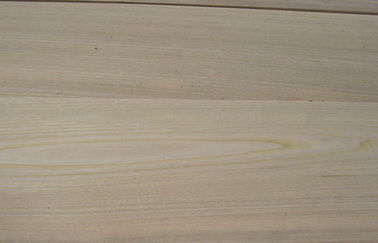 A coroa do olmo de Brown cortou o folheado, 0,3 milímetros - 0,6 milímetros de folheado de madeira natural