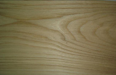 A coroa do olmo de Brown cortou o folheado, 0,3 milímetros - 0,6 milímetros de folheado de madeira natural