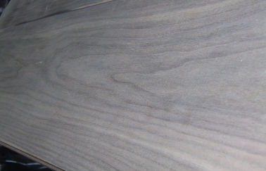Folheado de madeira natural cortado do corte da coroa da noz preta do corte para a madeira compensada