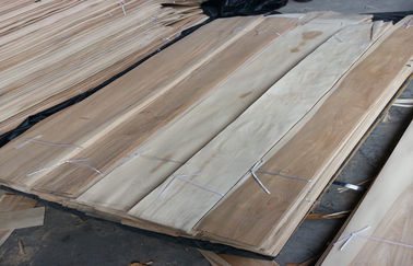 Folheado fino natural estrutural da madeira de vidoeiro projetado Prefinished