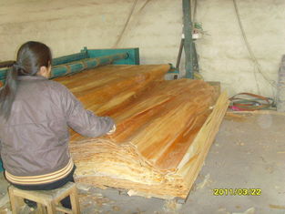 Folheado da madeira de vidoeiro da mobília