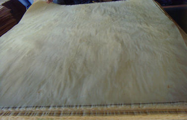 Branco/folheado de madeira do corte giratório vidoeiro de Brown, folheado acolchoado do bordo