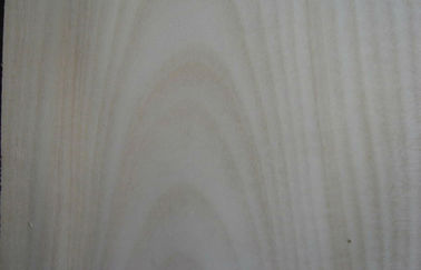 Folheado cortado da madeira de vidoeiro branco do corte Prefinished com espessura de 0.5mm