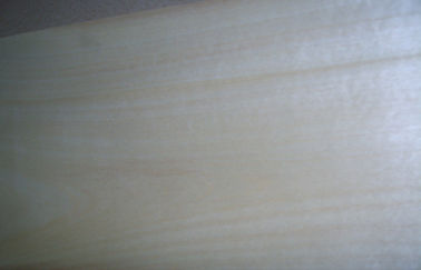 Folheado cortado da madeira de vidoeiro branco do corte Prefinished com espessura de 0.5mm