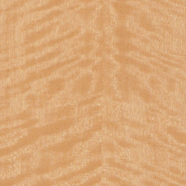 Folheado da madeira de vidoeiro do corte da coroa dourado com espessura de 0.5mm para os painéis de parede