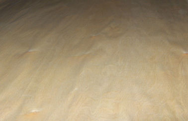 MDF dourado natural do folheado da madeira de vidoeiro com técnicas cortadas do corte