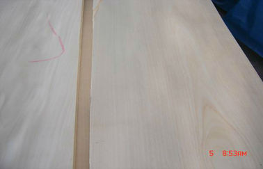 folheado cortado espessura de 0.5mm, folheado natural do vidoeiro branco para a mobília