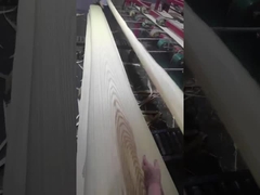 Ash Veneer branco americano