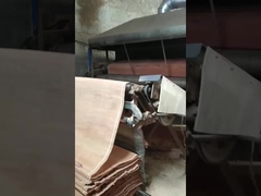 Folha de folheado de corte rotativo PLB de madeira natural