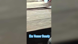 Folheado de corte Elm Crown