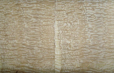 Folheado de madeira do Burl amarelo da cinza, 0,50 milímetros de folheado de madeira natural da espessura