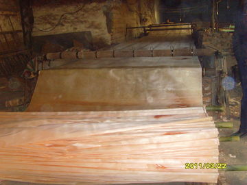 Folheado de madeira do corte giratório amarelo natural de Okoume para a superfície da mobília
