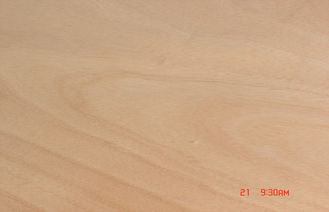 Folheado giratório amarelo do corte de Okoume para a mobília e a madeira compensada