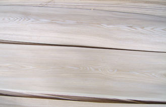 Rússia natural Ash Wood Veneer Plywood Crown branco cortou para a mobília