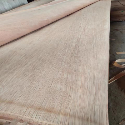 Folha de folheado giratória de madeira natural do corte PLB com os 0.15-0.3mm para a madeira compensada