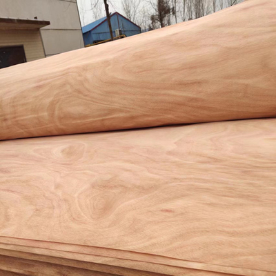 Folha de folheado giratória de madeira natural do corte PQ com os 0.15-0.3mm para a madeira compensada