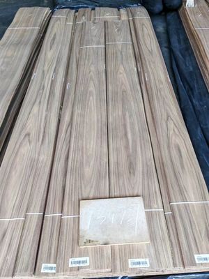 Folha de revestimento de corte de coroa de noz americana natural / corte simples para madeira compensada