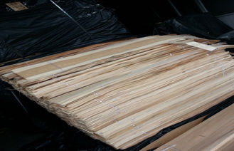Folheado fino natural estrutural da madeira de vidoeiro projetado Prefinished