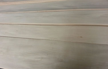 A categoria do AA descorou/o corte giratório do folheado da madeira vidoeiro branco estrutural