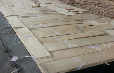 folheado de madeira cortado natural do bordo de China do corte para a mobília