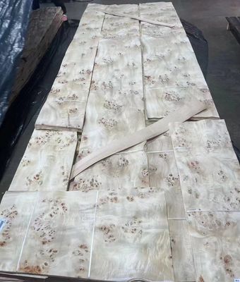 Folhas de folheado de abóbora natural cortadas em fatias