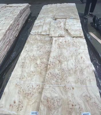 Folhas de folheado de abóbora natural cortadas em fatias
