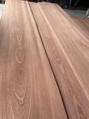 Coroa natural cortada em fatias/folha de facade Sapelli simples para madeira compensada