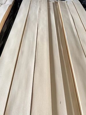 Modern Style Ash Veneer and Readily for Your Customer Requirements