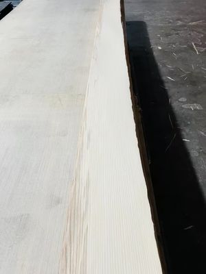 Readily Ash Wood Veneer Sanded And Polished Grade AAA