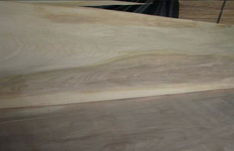 Folheado de madeira do corte giratório natural do vidoeiro do corte uma categoria para a mobília