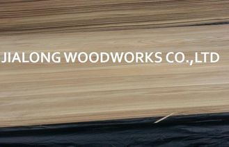 Painéis de madeira exóticos cortados do folheado do corte, 0.5mm Burl Veneer Plywood Sheets